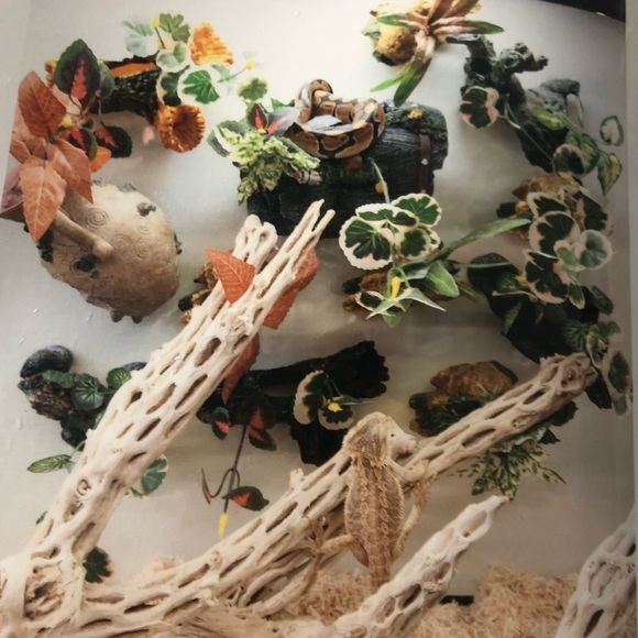 Orange green magnetic fish tank/reptile accessory - Picture 9 of 11